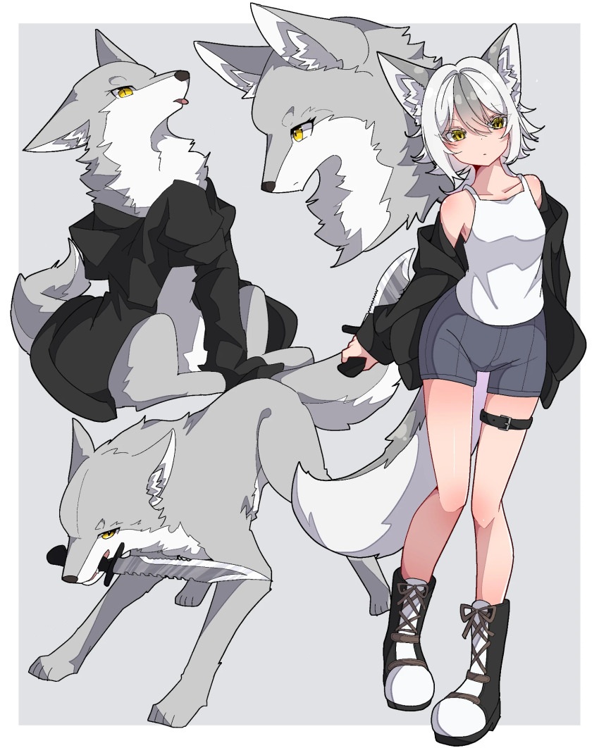 Wolf